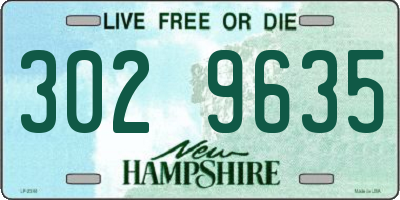 NH license plate 3029635