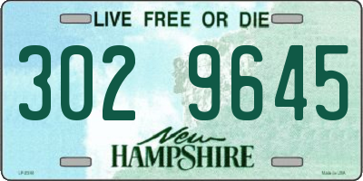 NH license plate 3029645