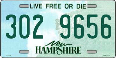 NH license plate 3029656