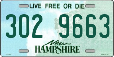 NH license plate 3029663