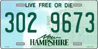 NH license plate 3029673