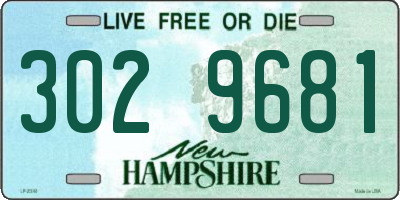 NH license plate 3029681