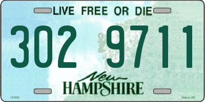 NH license plate 3029711