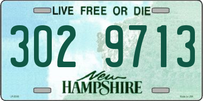 NH license plate 3029713