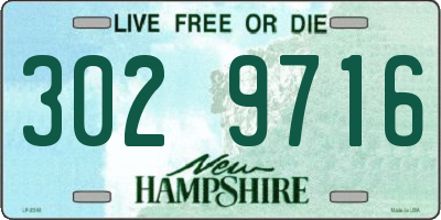 NH license plate 3029716