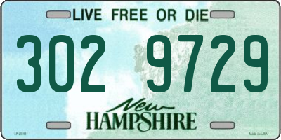 NH license plate 3029729