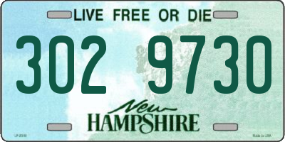 NH license plate 3029730