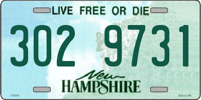NH license plate 3029731