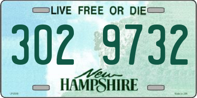 NH license plate 3029732