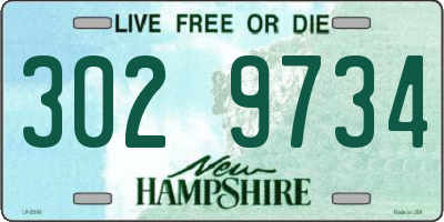 NH license plate 3029734