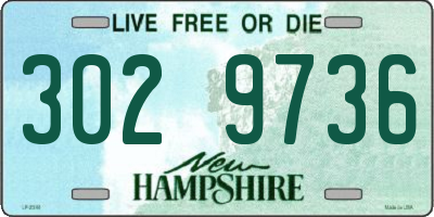 NH license plate 3029736