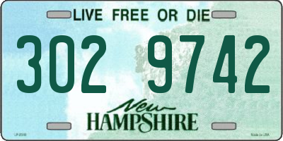 NH license plate 3029742