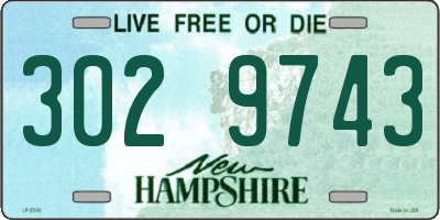 NH license plate 3029743