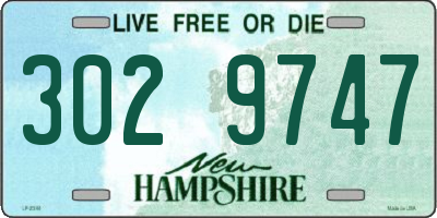NH license plate 3029747