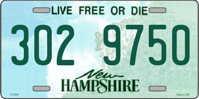 NH license plate 3029750
