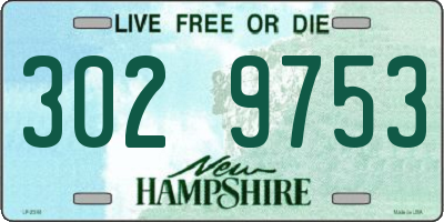 NH license plate 3029753