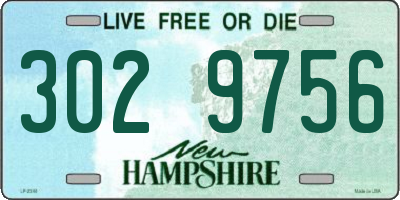 NH license plate 3029756