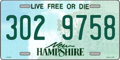 NH license plate 3029758