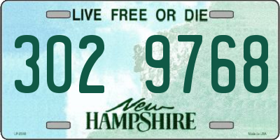 NH license plate 3029768