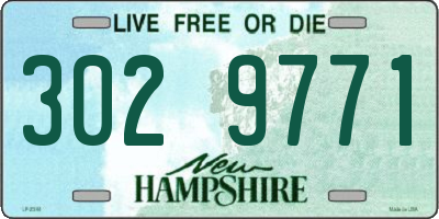 NH license plate 3029771