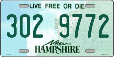 NH license plate 3029772