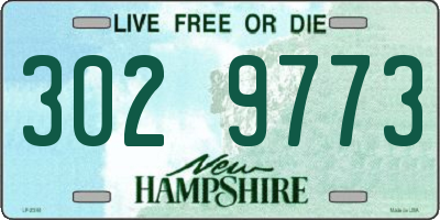 NH license plate 3029773