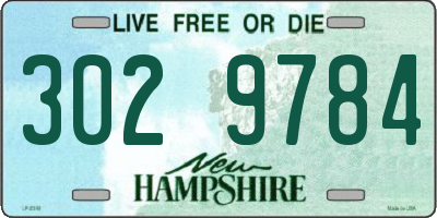 NH license plate 3029784