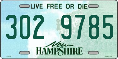 NH license plate 3029785