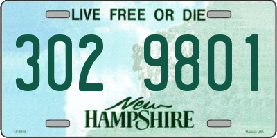 NH license plate 3029801