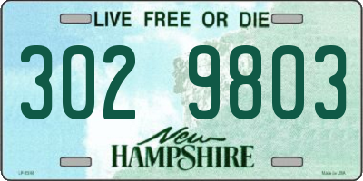 NH license plate 3029803