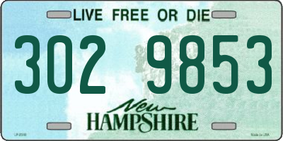 NH license plate 3029853