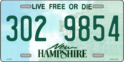 NH license plate 3029854