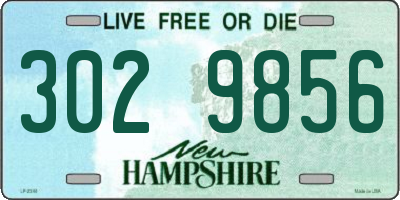 NH license plate 3029856