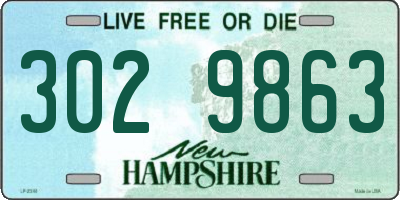 NH license plate 3029863