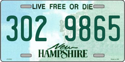 NH license plate 3029865
