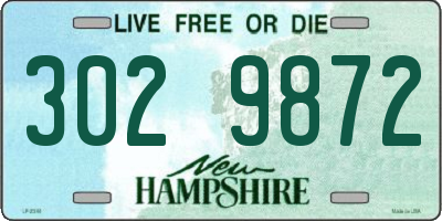 NH license plate 3029872