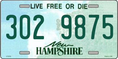 NH license plate 3029875