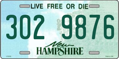 NH license plate 3029876