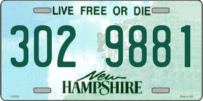NH license plate 3029881