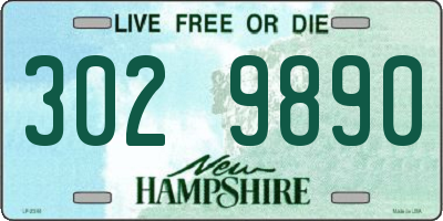 NH license plate 3029890