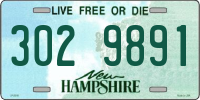NH license plate 3029891