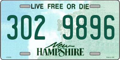 NH license plate 3029896