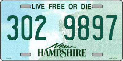 NH license plate 3029897