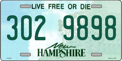 NH license plate 3029898