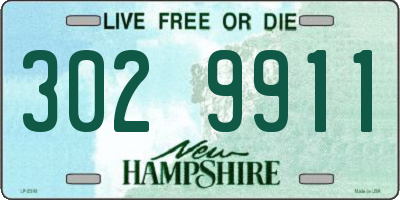 NH license plate 3029911