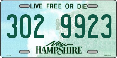 NH license plate 3029923