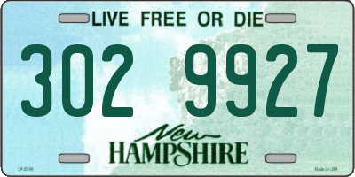 NH license plate 3029927