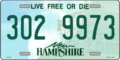 NH license plate 3029973