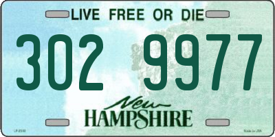 NH license plate 3029977