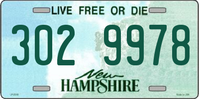 NH license plate 3029978